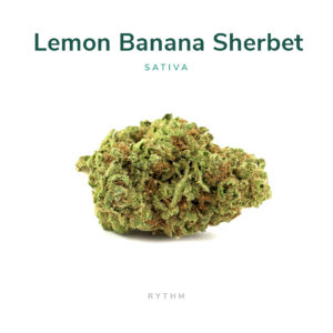 lemon banana sherbet cannabis flower strain