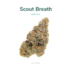 Scout Breath cannabis flower strain