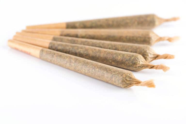 Shop The Best Pre-Rolls in New England