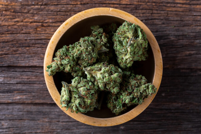 close-up dried cannabis flowers in a bowl