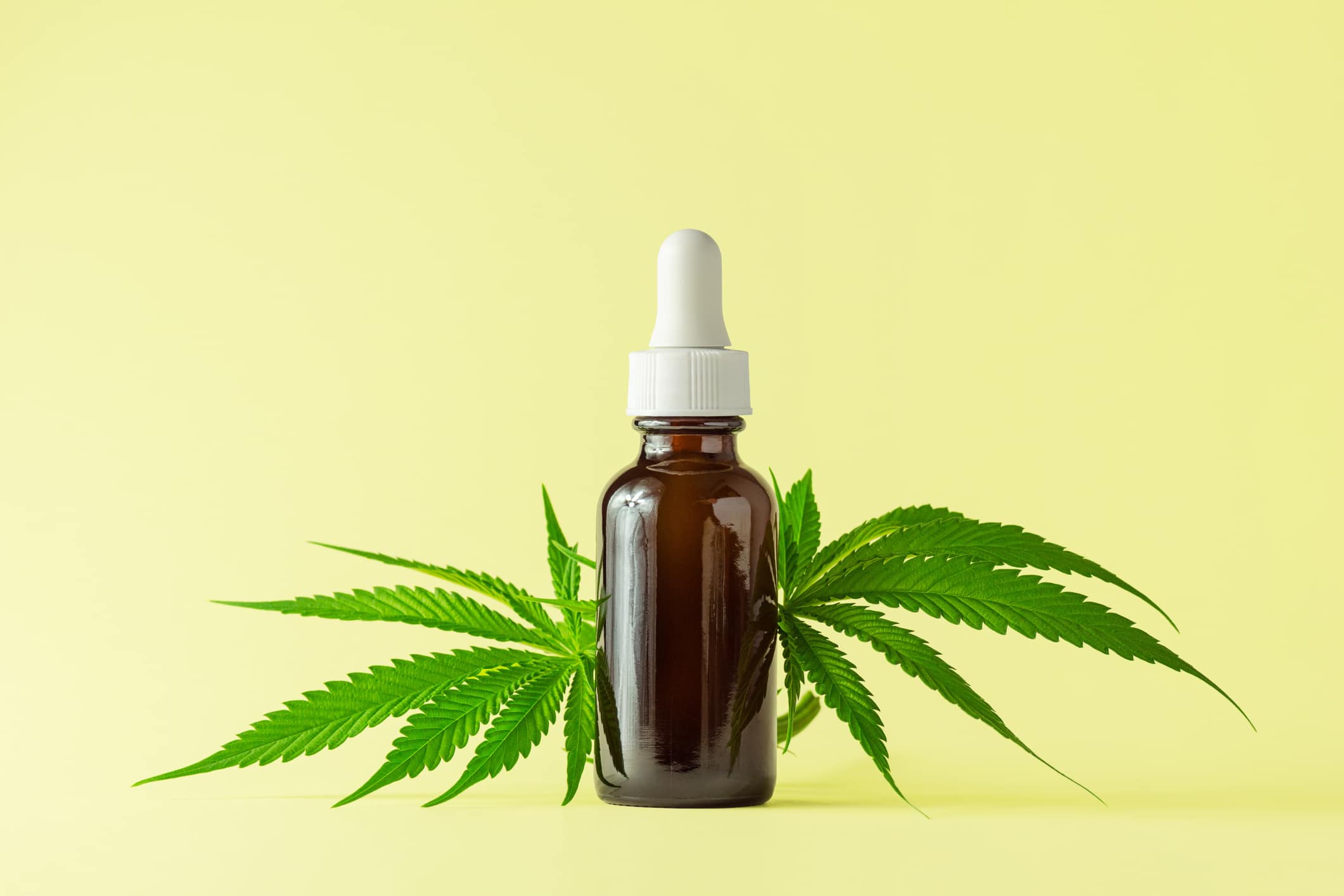 Shop The Best Cannabis Tinctures in New England