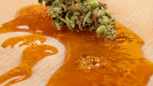 Cannabis Buds and Golden THC Concentrate Wax