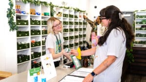 Budtender assisting customer