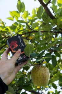 Photo of a hand picking a Fernway Honeycrisp Box from a branch on an apple tree. 