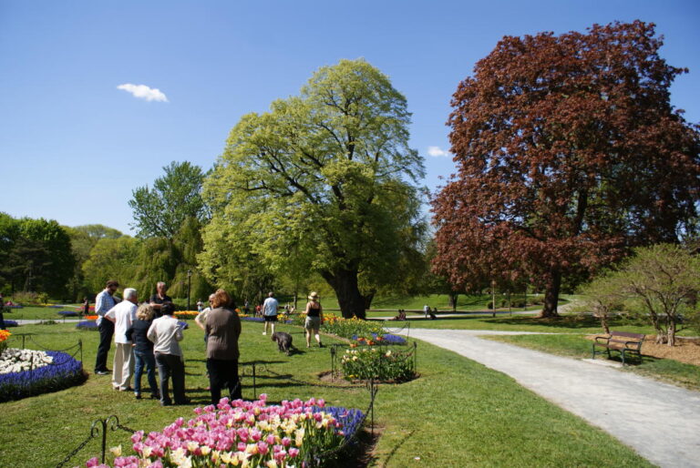 Onlookers at Washington Park in Albany, NY