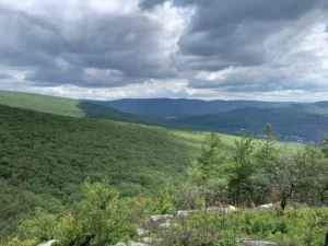 Pine Cobble Trail 