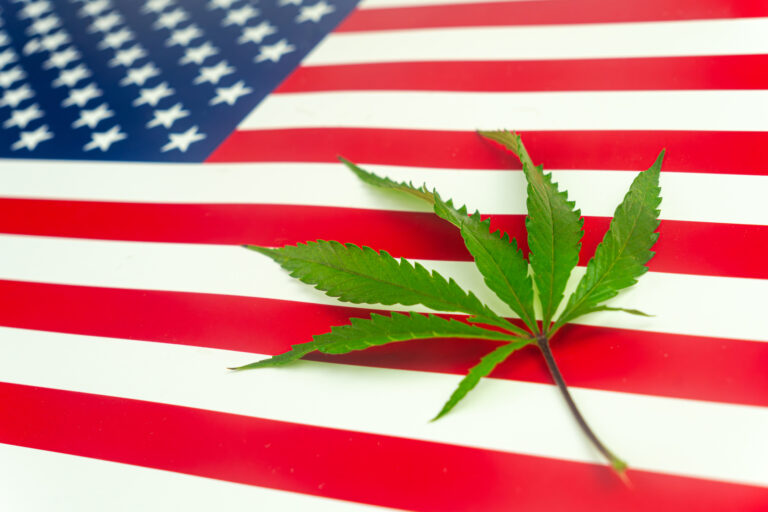 Green hemp leaf on United States of America flag.