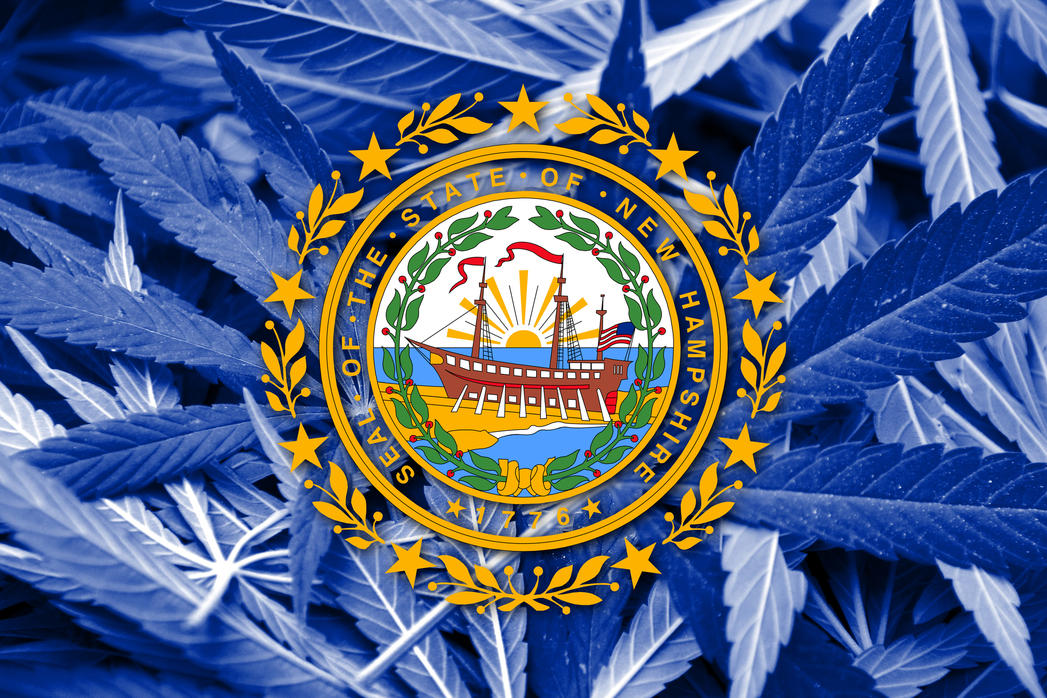 New Hampshire State Flag on a cannabis background.