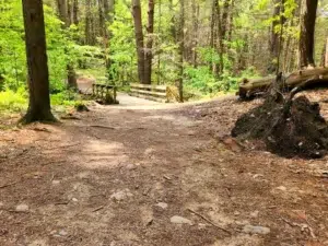 Vaughan Woods State Park