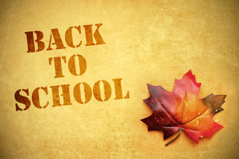 Back-to-school background with autumn leaf