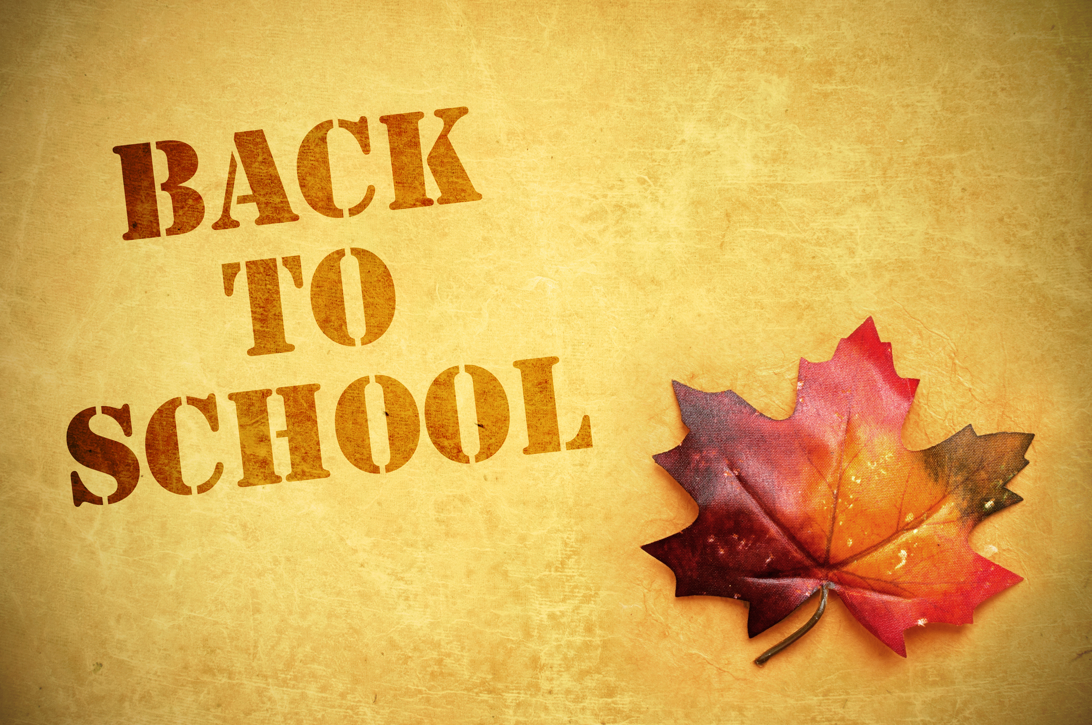 Back-to-school background with autumn leaf
