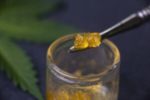 cannabis concentrate live resin extracted from medical marijuana on a dabbing tool