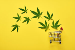 Shopping trolley and leaves of marijuana on yellow background. Legal cannabis concept.