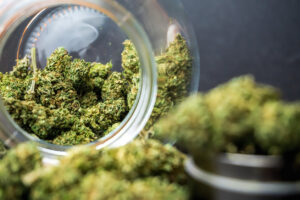 Medical Marijuana flower buds in glass jar and grinder