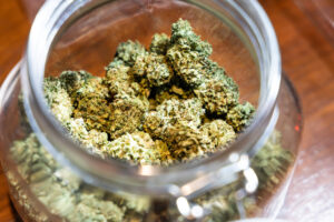 Closeup selective focus on processed cannabis flower in jar ready to be rolled into a joint