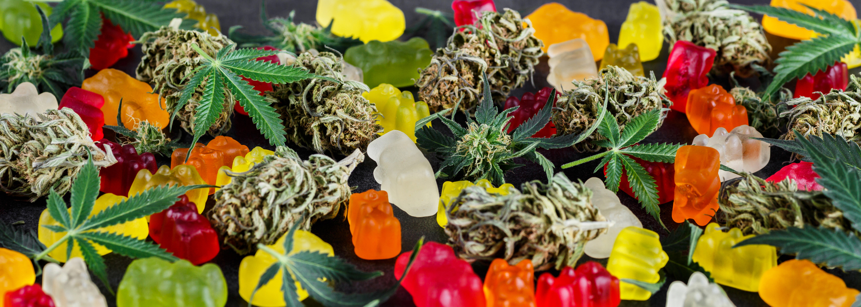 Medical CBD candies.Cannabis infused gummy bears.Cannabis edibles, medical marijuana,Candies Infused with CBD or THC,Alternative medicine.