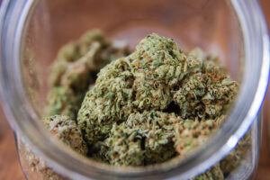 Up closed view into an open glass jar of Mango Kush strain trimmed marijuana flower.