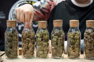Several varieties of Cannabis Sativa, in glass tubes, for sale at a market stall.