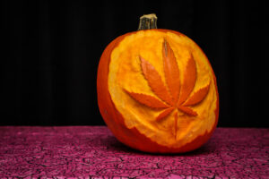 Cannabis leaf carved into pumpkin