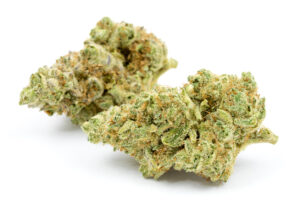 Marijuana flower, often called buds or cannbis, against an isolated white background shot in a dispensary in Oregon where these drugs are now legal.
